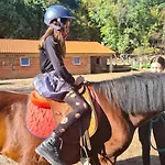 Ella 别墅